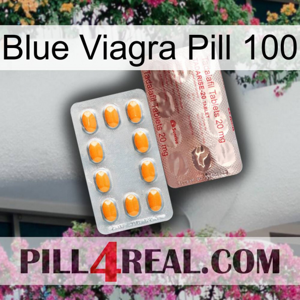 Blue Viagra Pill 100 new13.jpg